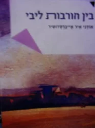 עטיפת הספר בין חורבות ליבי