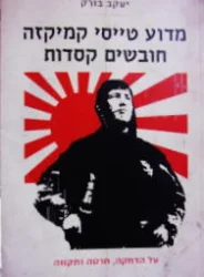 עטיפת הספר מדוע טייסי קמיקזה חובשים קסדות