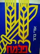 עטיפת הספר פלמח