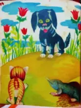 עטיפת הספר מעשה בעגל בכין וספורים אחרים