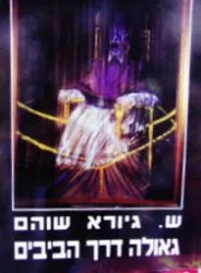עטיפת הספר גאולה דרך הביבים