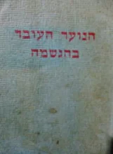 עטיפת הספר הנוער העובד בהגשמה