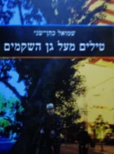 עטיפת הספר טילים מעל גן השקמים