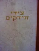 עטיפת הספר ציידי החידקים