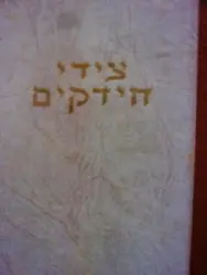 עטיפת הספר ציידי החידקים