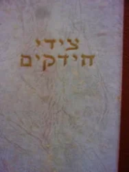 עטיפת הספר ציידי החידקים