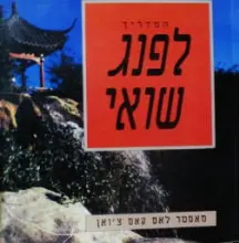 עטיפת הספר המדריך לפנג שואי