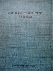 עטיפת הספר ילדי העיר העתיקה 2 במצור
