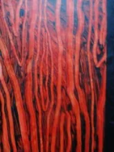 עטיפת הספר יומן סלים טל ירושלמי