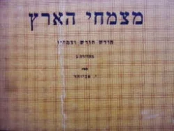 עטיפת הספר מצמחי הארץ חודש חודש וצמחיו