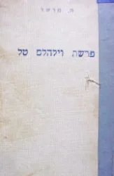 עטיפת הספר פרשת וילהלם טל