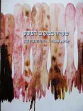 עטיפת הספר שערה במקום הפשע יהושע סובול רותי הלביץ כהן