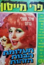 עטיפת הספר פרי מייסון תעלומת הבנות הזהות