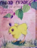 עטיפת הספר אפרוח בר מח