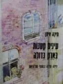 עטיפת הספר עינים קטנות בארץ גדולה