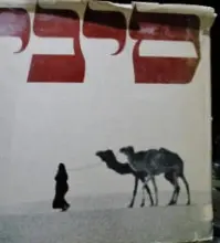 עטיפת הספר סיני