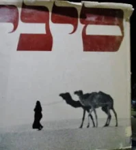 עטיפת הספר סיני