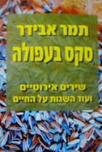 עטיפת הספר סקס בעפולה