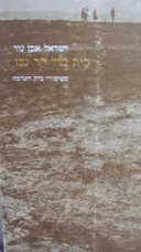 עטיפת הספר בית מול הר נבו