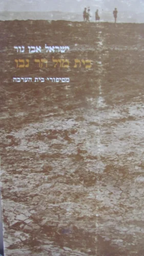 עטיפת הספר בית מול הר נבו