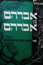 עטיפת הספר אברהם בן אברהם