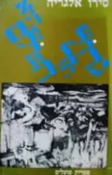 עטיפת הספר גדול וזר הוא העולם