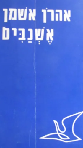 עטיפת הספר אשנבים