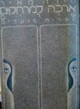 עטיפת הספר ארכה למרחקים