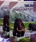 עטיפת הספר ציידי הממותות-2 כרכים