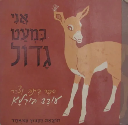 עטיפת הספר אני כמעט גדול