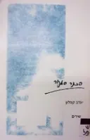 עטיפת הספר הכתר האפור