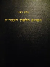 עטיפת הספר דקדוק הלשון העברית החדשה והישנה