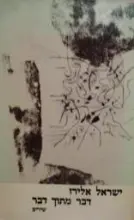 עטיפת הספר דבר מתוך דבר