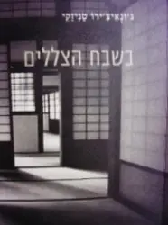 עטיפת הספר בשבח הצללים