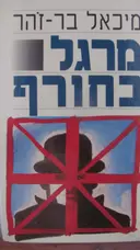 עטיפת הספר מרגל בחורף