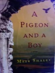 עטיפת הספר a pigeon and a boy