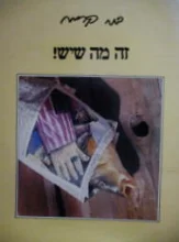 עטיפת הספר זה מה שיש-חתום