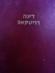 עטיפת הספר דינה רויטקאפ