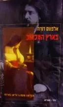 עטיפת הספר בארץ המכאוב