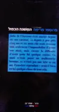 עטיפת הספר המשגה הכפול