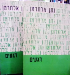 עטיפת הספר רגעים-2 כרכים
