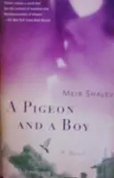 עטיפת הספר a pigeon and a boy