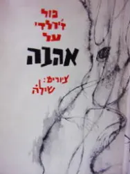 עטיפת הספר פול זילרדי על אהבה