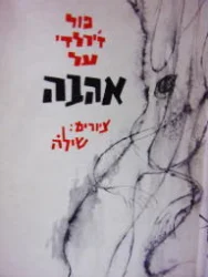 עטיפת הספר פול זילרדי על אהבה