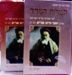 עטיפת הספר השליח הנודד 2 כרכים