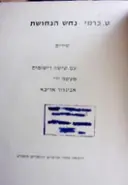 עטיפת הספר נחש הנחושת