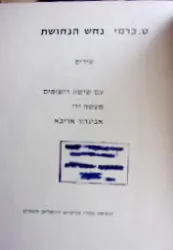 עטיפת הספר נחש הנחושת