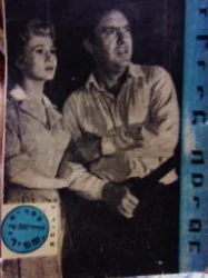 עטיפת הספר יריות בסופה
