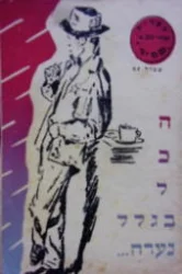 עטיפת הספר הכל בגלל נערה