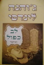 עטיפת הספר לב כפול